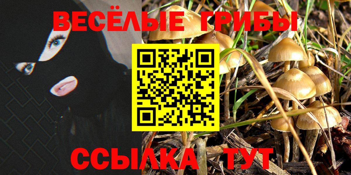 Ливны  Галлюциногенные грибы Magic Shrooms  Вход с VPN 